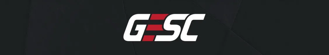 Vega Squadron Won’t Attend GESC Thailand Minor