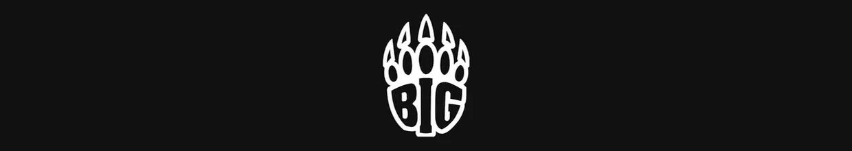 BIG Become a Partner Team within BLAST Premier
