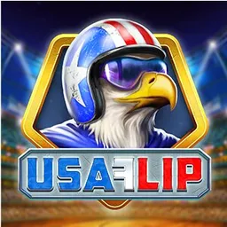 USA Flip